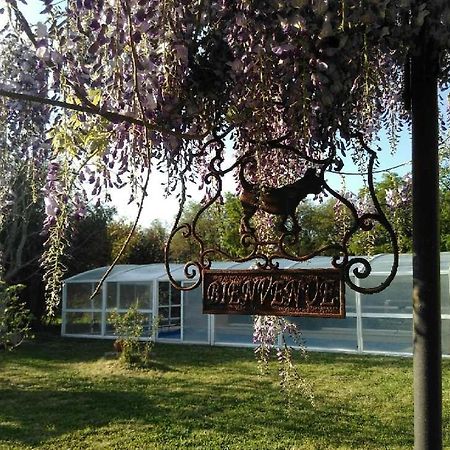 La Ferme Du Bien Etre Bed & Breakfast Athée-sur-Cher Exterior foto